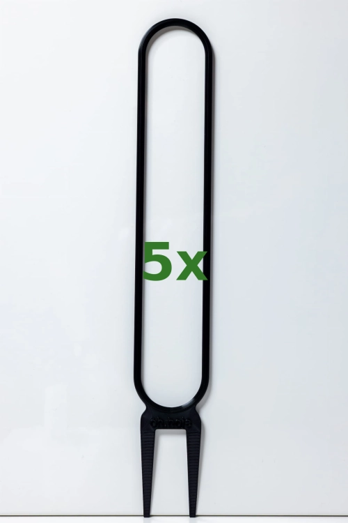 199_5x.jpg