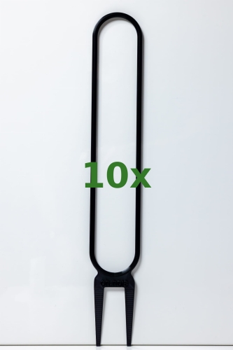 199_10x.jpg
