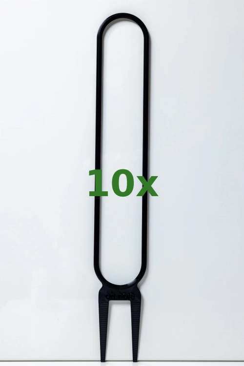 199_10x.jpg