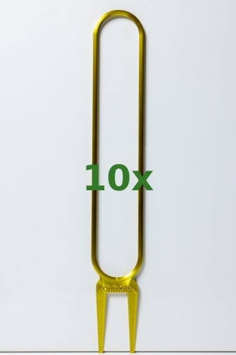 259_10x.jpg
