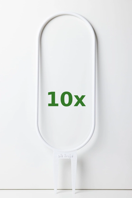 350_10x.jpg