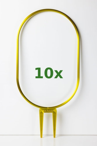 488_10x.jpg