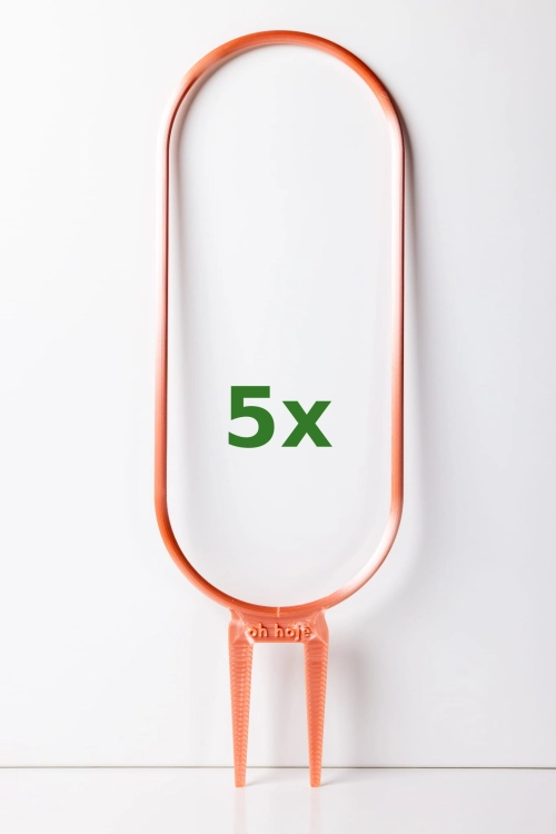668_5x.jpg