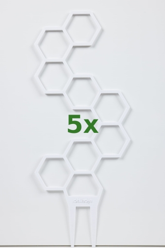 888_5x.jpg