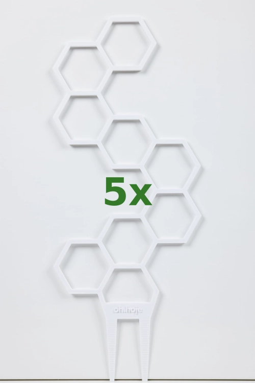 888_5x.jpg