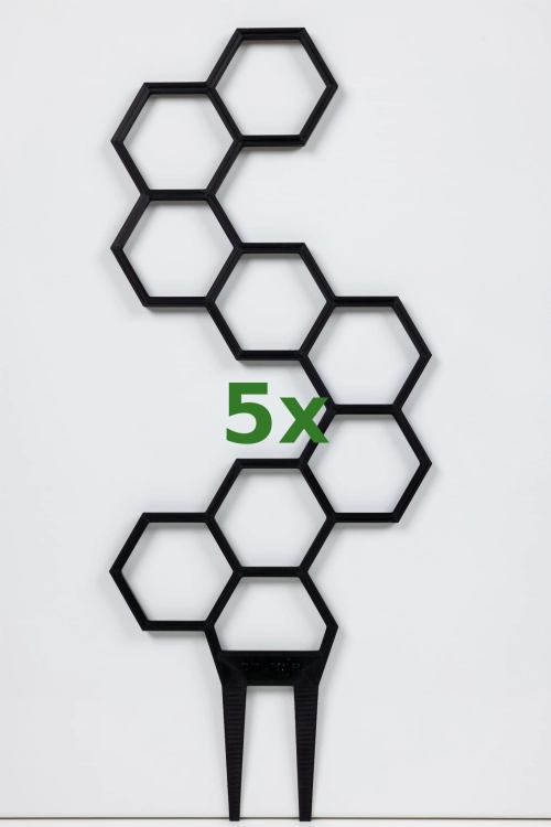 871_5x.jpg