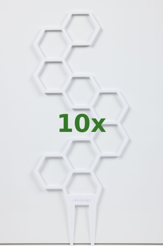 888_10x.jpg