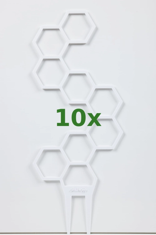 888_10x.jpg