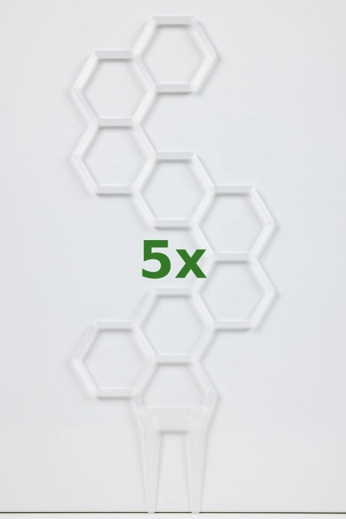 895_5x.jpg