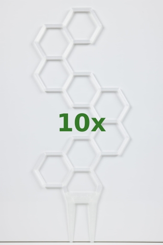 895_10x.jpg
