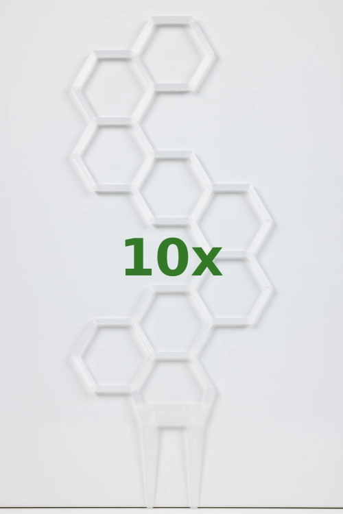 895_10x.jpg