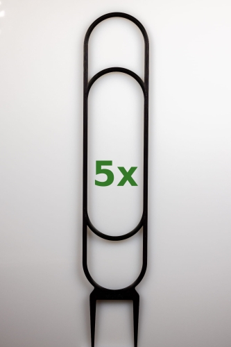 1816_1_5x.jpg