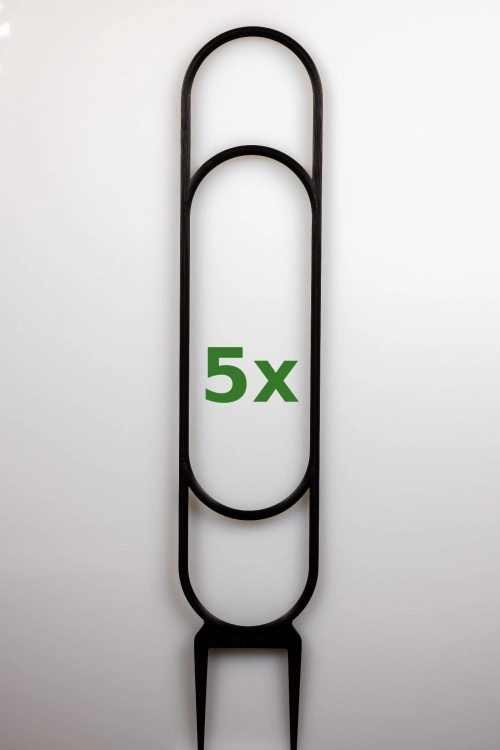 1816_1_5x.jpg