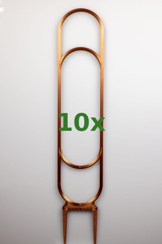 1823_1_10x.jpg