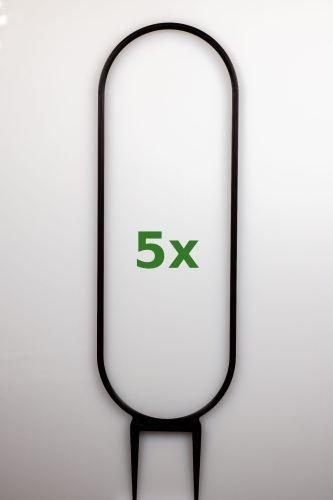 1850_1_5x.jpg