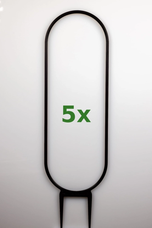 1850_1_5x.jpg
