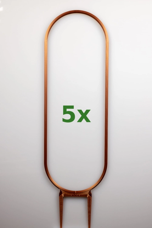 1855_1_5x.jpg