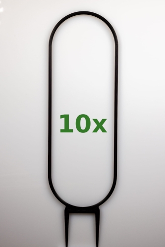 1850_1_10x.jpg