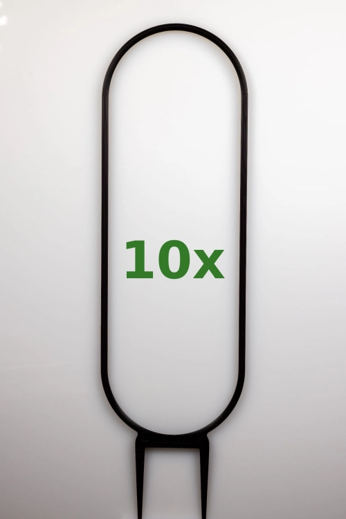 1850_1_10x.jpg