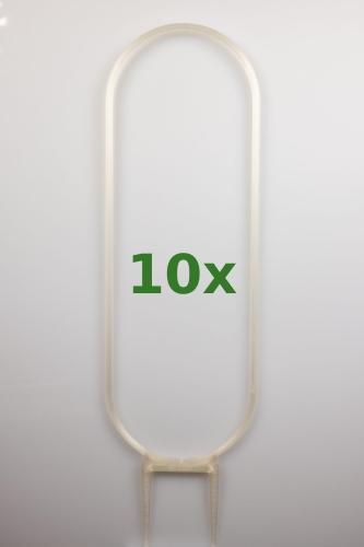 1852_1_10x.jpg