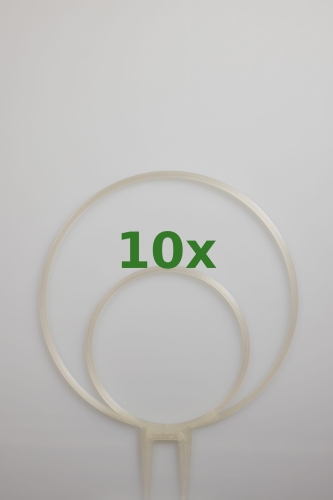 1900_10x.jpg