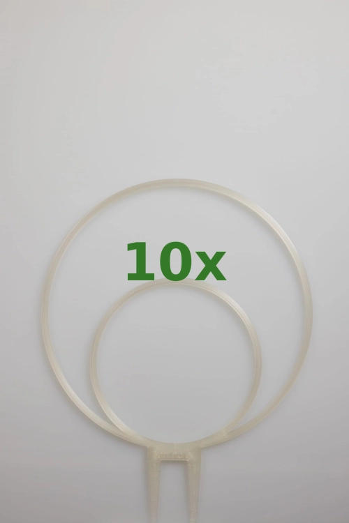 1900_10x.jpg
