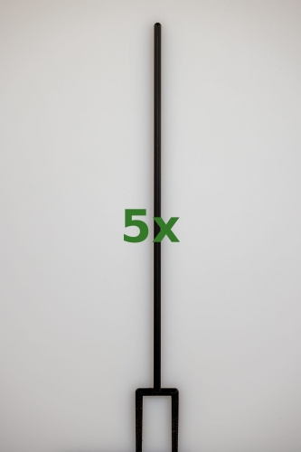 2389_5x.jpg