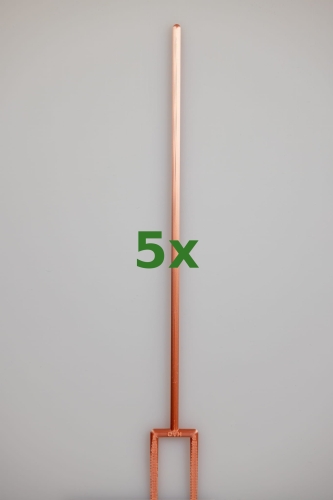 2395_5x.jpg