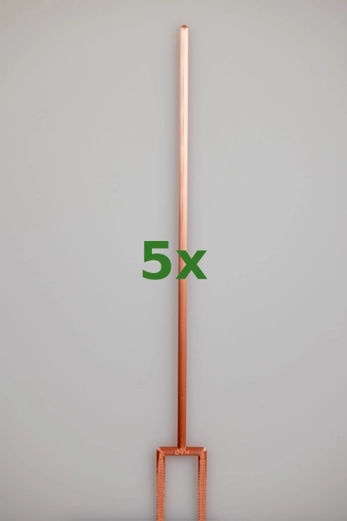 2395_5x.jpg