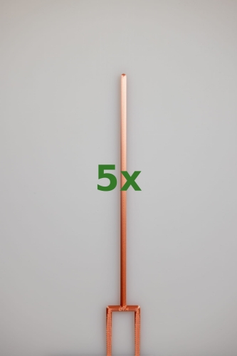 2400_5x.jpg