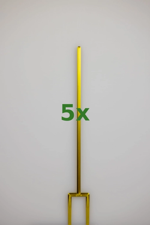 2406_5x.jpg