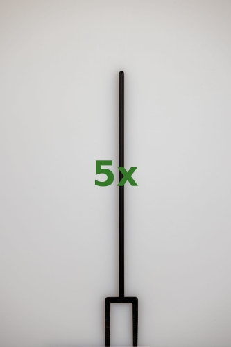 2412_5x.jpg
