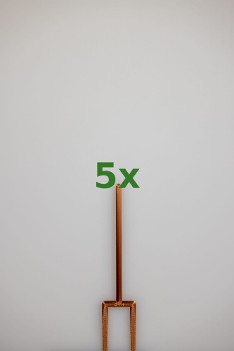 2438_5x.jpg