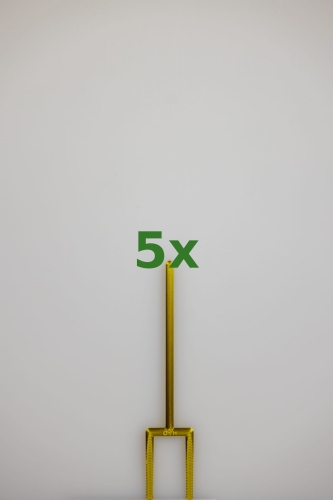 2441_5x.jpg