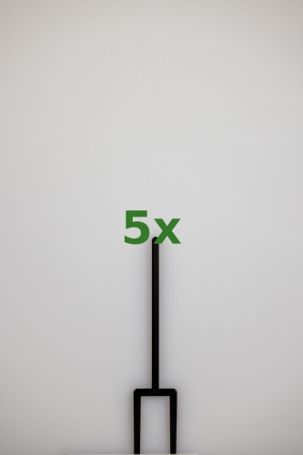 2447_5x.jpg