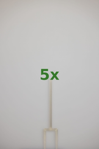 2450_5x.jpg