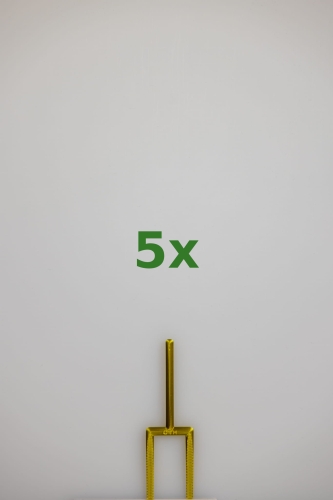 2462_5x.jpg