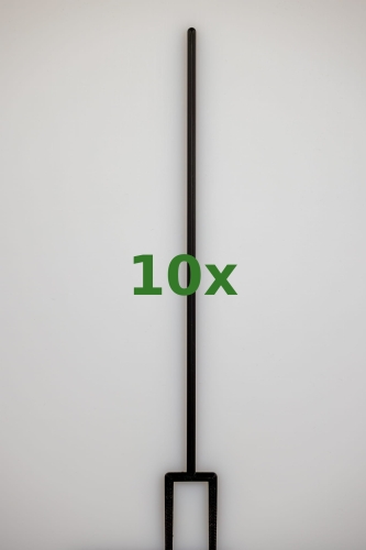 2389_10x.jpg