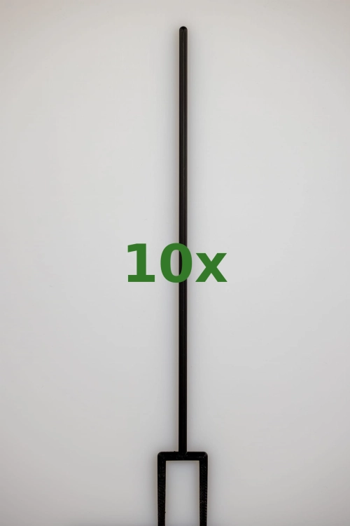 2389_10x.jpg