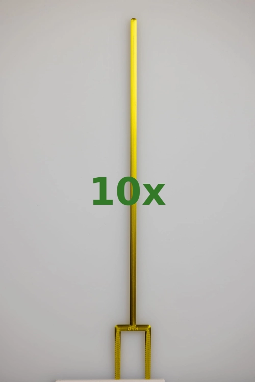 2392_10x.jpg
