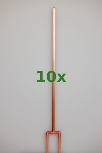 2395_10x.jpg