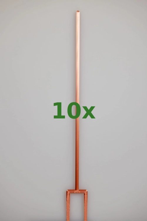 2395_10x.jpg