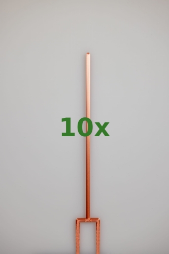 2400_10x.jpg