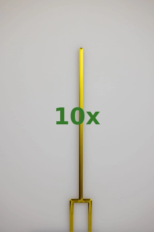 2406_10x.jpg