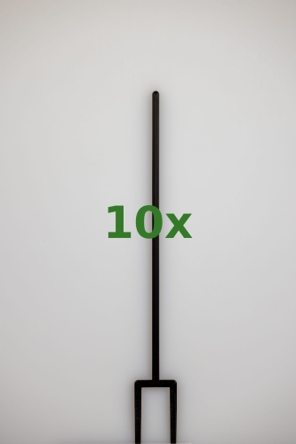 2412_10x.jpg