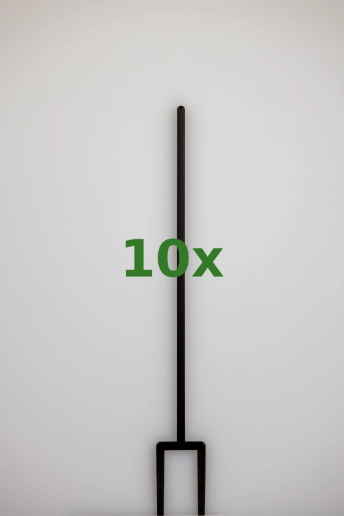 2412_10x.jpg