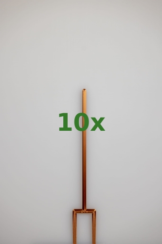 2429_10x.jpg