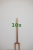 2429_10x.jpg