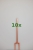 2432_10x.jpg