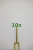 2441_10x.jpg